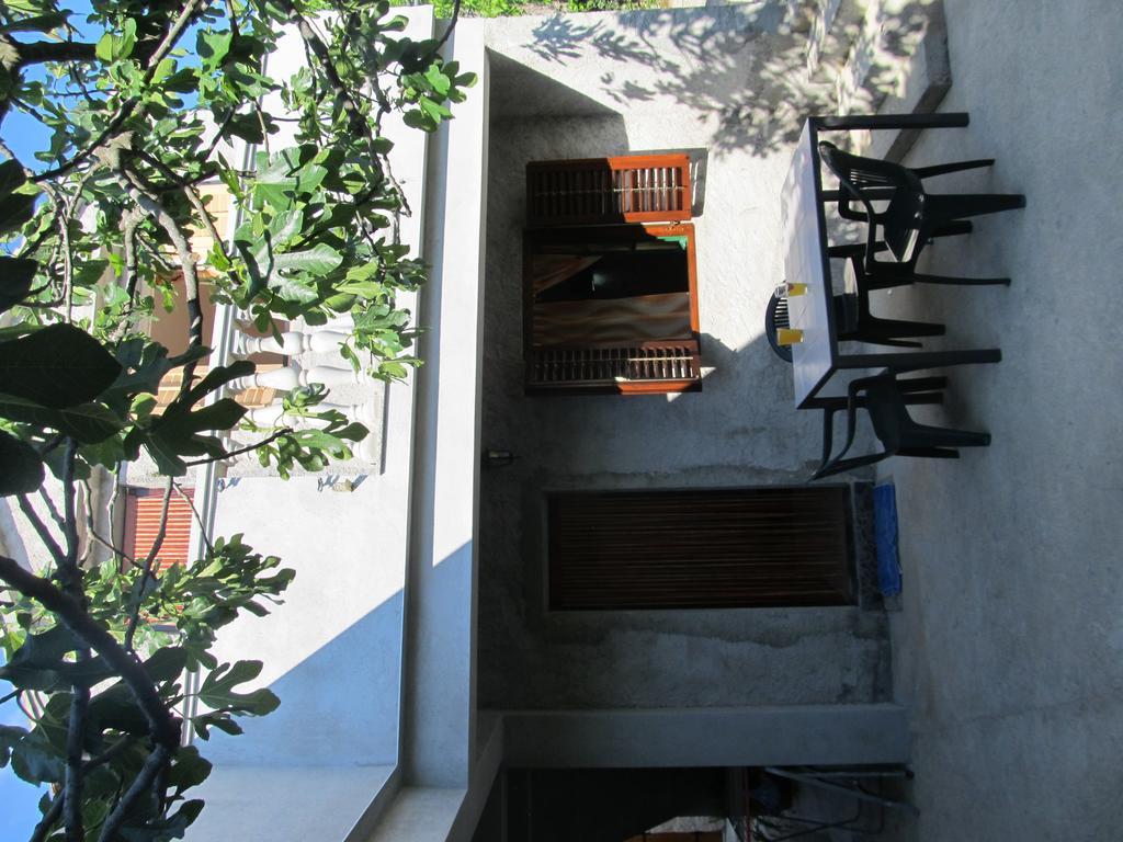 Hotel Petrcane Ngoại thất bức ảnh