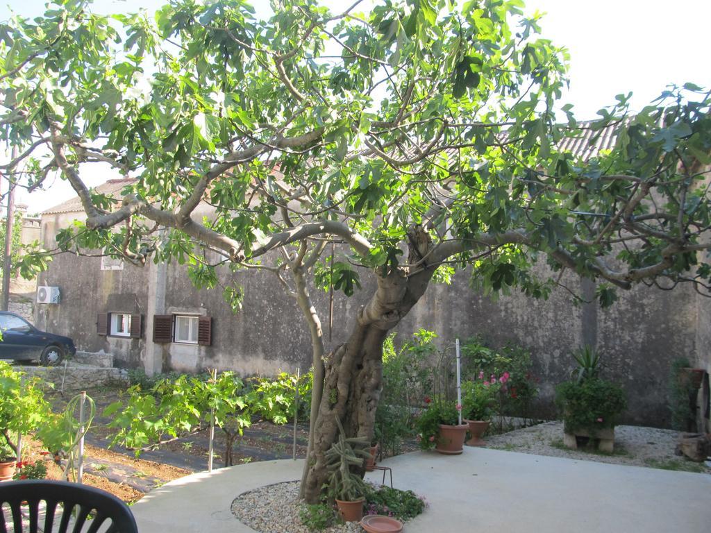 Hotel Petrcane Ngoại thất bức ảnh